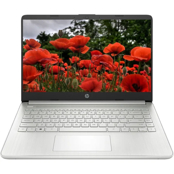 HP 14" Business Laptop,Intel Celeron N4120,16GB RAM,320GB Storage(64GB eMMC+256GB USB),Windows 11 Home