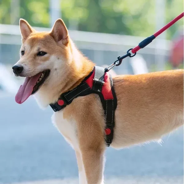 Pet Dogs Adjustable Harness Small and Large Dog Harness Vest,150cm Strong Dog Leash Pet Leashes Reflective Leash Drag Pull Tow - Image 2