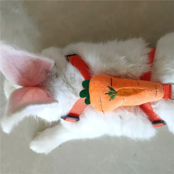 Rabbit Harness and Leash Set Adjustable for Small Animals Ferrets Piggies Hedgehogs Outdoor Walking Cute Decorations - Image 2