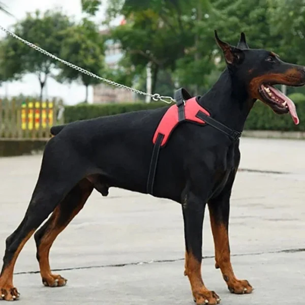 Pet Dogs Adjustable Harness Small and Large Dog Harness Vest,150cm Strong Dog Leash Pet Leashes Reflective Leash Drag Pull Tow - Image 5