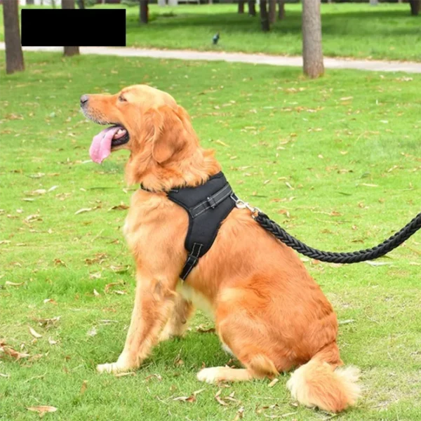 Pet Dogs Adjustable Harness Small and Large Dog Harness Vest,150cm Strong Dog Leash Pet Leashes Reflective Leash Drag Pull Tow - Image 4